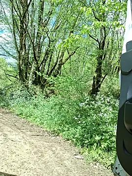 pachapeter online show from 04-16-26, 01:12