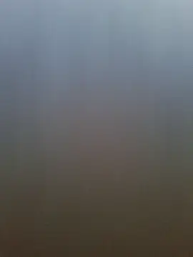 pachapeter online show from 04-20-26, 12:52