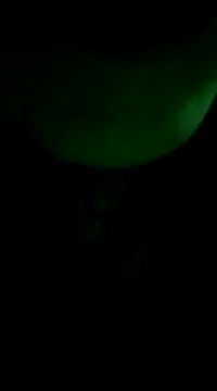 Amarista Lovely6 online show from 12-08-24, 05:50