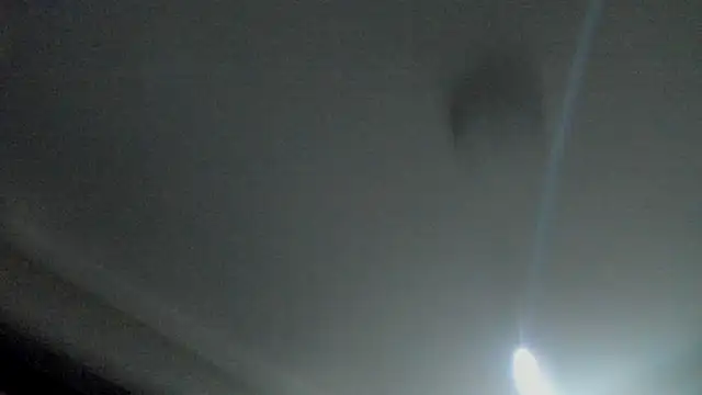 RosaCatalleya online show from 09-23-25, 04:08
