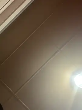 Papinine6 online show from 04-07-26, 01:46