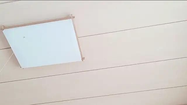 Snapshot of xxArisaxx chatting on 03-01-26, 05:40 xxArisaxx online show from 03-01-26, 05:40