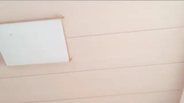 xxArisaxx online show from 12-03-25, 06:03