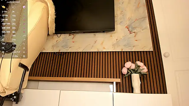 Snapshot of sally_009 chatting on 01-07-26, 03:44 sally 009 online show from 01-07-26, 03:44