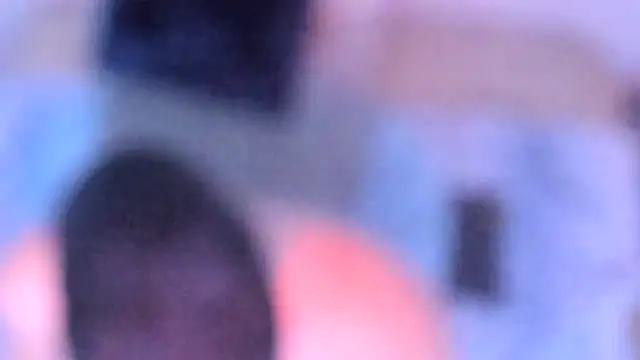 stillwild online show from 12-14-25, 10:21