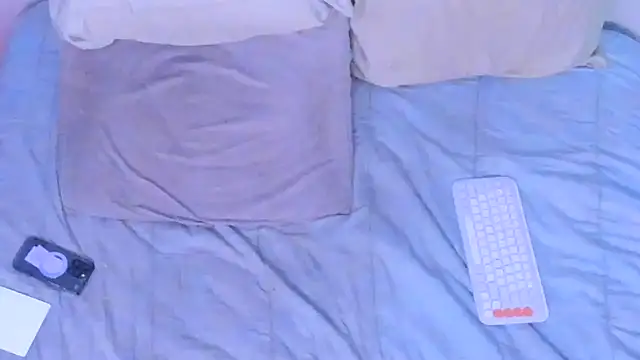 stillwild online show from 03-12-26, 11:14