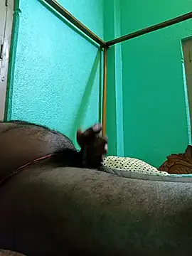 SEXYBOYBIGCOOCK online show from 02-12-25, 07:02