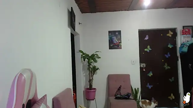 littleangel1 m online show from 02-02-26, 01:04