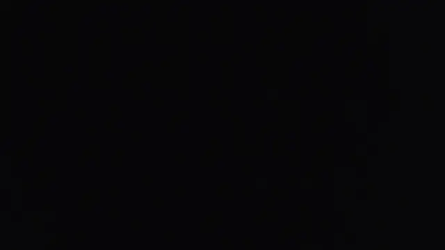 hailzeffn online show from 11-16-25, 03:17