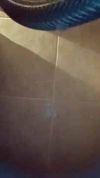 Snapshot of whitetrashdirtyslut chatting on 12-04-25, 03:16 whitetrashdirtyslut online show from 12-04-25, 03:16