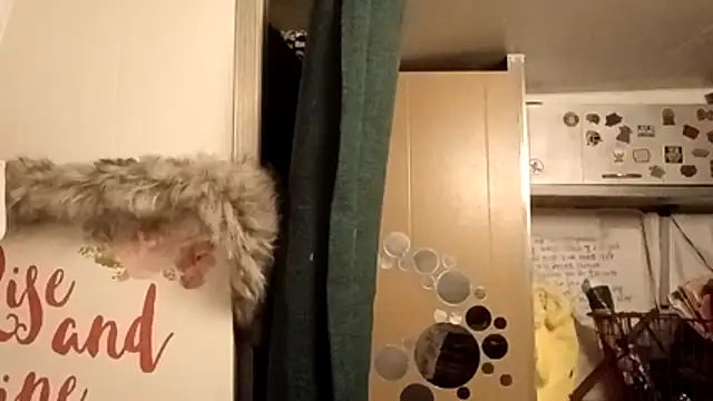 Snapshot of whitetrashdirtyslut chatting on 02-25-26, 12:16 whitetrashdirtyslut online show from 02-25-26, 12:16