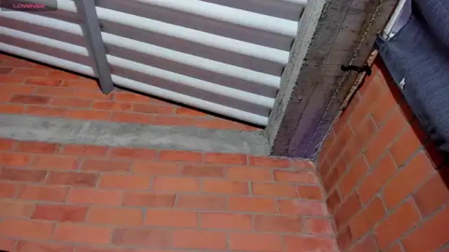 sainix  online show from 12-04-24, 12:24