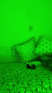 146yummy online show from 07-22-26, 01:40