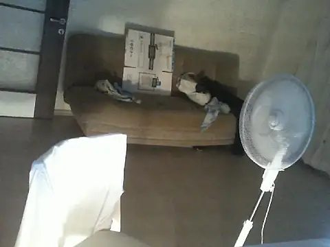 thekeys online show from 07-12-26, 09:04