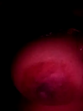 sakshisutra online show from 12-14-25, 08:25