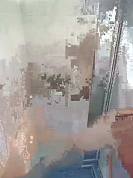 justwatchbaby online show from 01-18-26, 08:45