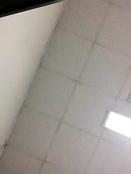 Fred bo online show from 10-24-25, 04:17