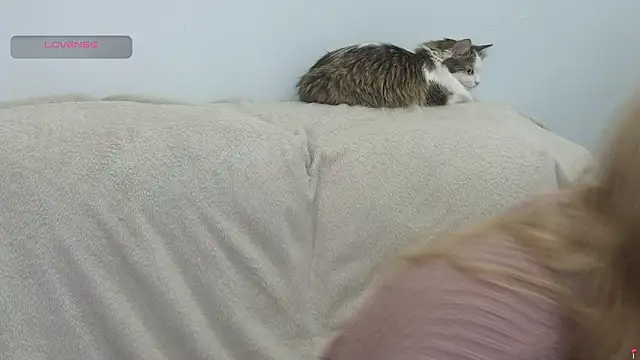 gertanord online show from 02-21-26, 07:05