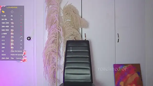 roselinedior online show from 11-12-25, 11:52