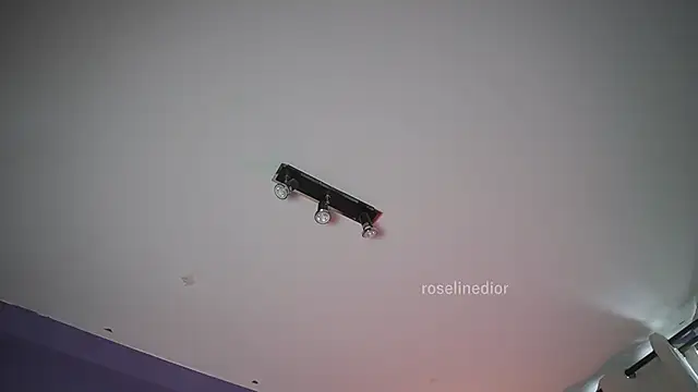 roselinedior online show from 06-21-26, 07:08