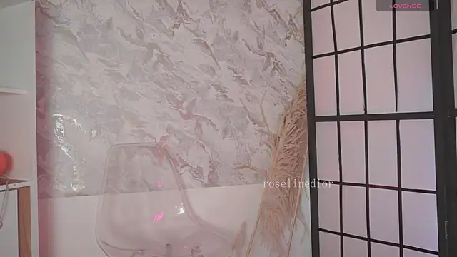 roselinedior online show from 04-02-26, 02:24
