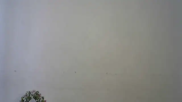 seema raani online show from 04-16-26, 04:46