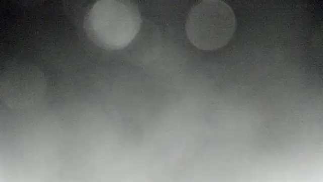 Bitch Coin online show from 11-10-25, 04:23