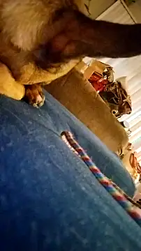 Snapshot of fukurbutt chatting on 02-19-26, 03:42 fukurbutt online show from 02-19-26, 03:42