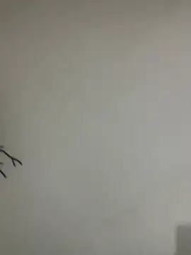 Veropig online show from 03-13-26, 03:17