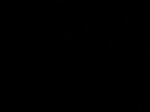 BIGPINKBYRD online show from 10-29-25, 01:04