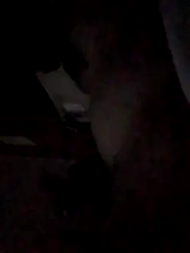 BIGPINKBYRD online show from 04-22-26, 03:46