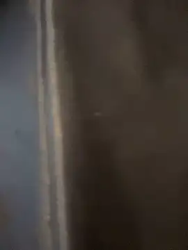 haddy ss online show from 11-15-25, 08:02