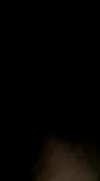 Sergipano fogozinho online show from 01-28-25, 05:00