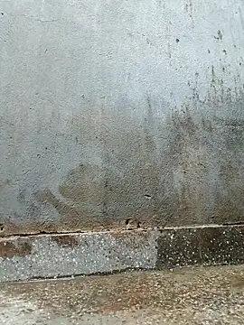 Sergipano fogozinho online show from 02-03-26, 12:43