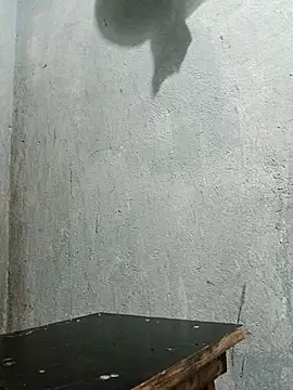 Sergipano fogozinho online show from 12-05-25, 01:49