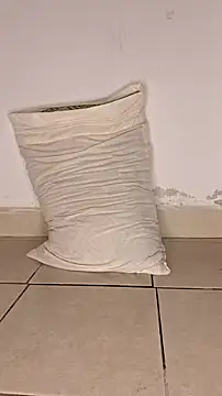 Snapshot of Perqueen chatting on 11-07-25, 06:01 Perqueen online show from 11-07-25, 06:01