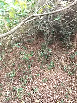 HathodaTyagi123 online show from 12-08-24, 07:37