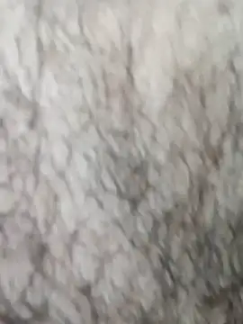 HathodaTyagi123 online show from 03-08-26, 09:12