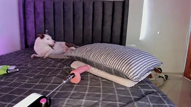 paulina soto online show from 04-05-26, 08:04