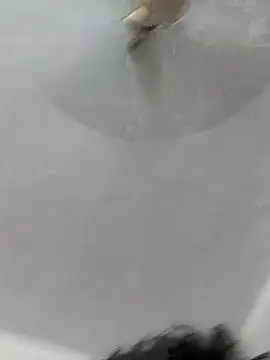 Shivaa- online show from 10-19-25, 04:54