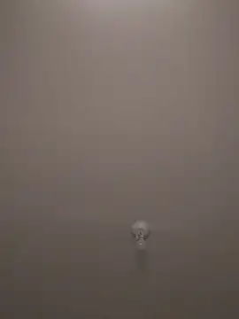 wedge75 online show from 11-28-25, 06:41