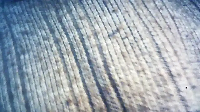 wedge75 online show from 12-05-24, 02:28