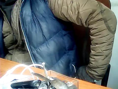 zormen355 online show from 12-01-25, 11:33