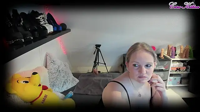 caro kitten online show from 02-15-25, 10:22