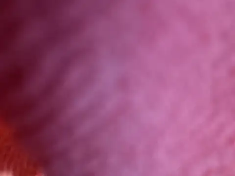 Snapshot of Amarok39 chatting on 10-18-25, 07:49 Amarok39 online show from 10-18-25, 07:49