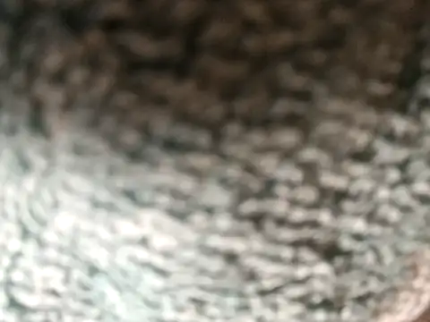 Amarok39 online show from 12-16-25, 03:05