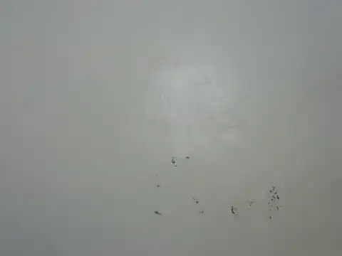 Rasta tattooed online show from 02-06-26, 10:50