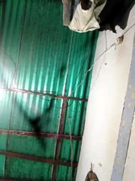 Snapshot of Camuss30 chatting on 10-29-25, 01:48 Camuss30 online show from 10-29-25, 01:48