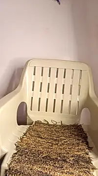 Jessicca Cum online show from 03-11-25, 06:52