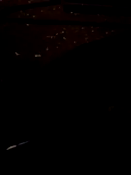 FeloBad online show from 07-14-26, 03:11